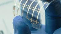 A blue gloved hand holds a flexible plastic sheet printed with organic photonic devices.