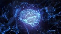 illustration of a brain