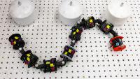 A simplified robot model used in the Goldman lab at Georgia Tech.