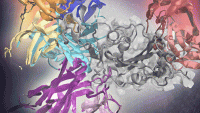 Deep learning effectively predicts antibodies targeting distinct epitopes on the SARS-CoV-2 spike protein (gray, center). 