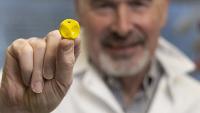 male researcher in a white lab coat holding a yellow 3D printed heart valve