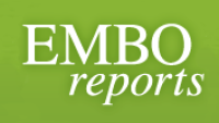 EMBO