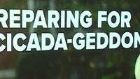 Preparing for Cicada-geddon