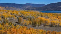 Utah