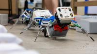 Centipede robot