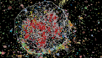 Lung cancer cells as seen in spatial signaling maps.