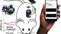 mouse and wearable