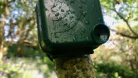 audiomoth device in tree 