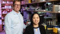 Brandon Dixon and Shao-Yun Hsu pose in their lab, where they're working on a project to improve lymph node transplant surgery.
