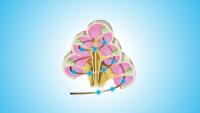 Schematic of CORTIORGAN flexible optical implant in cochlea with individually addressed blue LEDs. Cross-section cut-outs in schematic show path of implant inside cochlea. Credit: GT-Lorraine