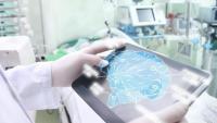 <p>The new Jack and Dana McCallum Neurorehabilitation Training Program will drive major research focused on understanding the neurophysiological basis for neurological injuries, and on the preclinical development of potential therapies. Photo: CDC.</p>