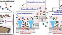 graphic depicting SemiSynBio-II: A Hybrid Programmable Nano-Bioelectronic System