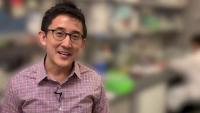 <p>Gabe Kwong's lab has developed biosensors that can quickly assess a cancer treatment.</p>