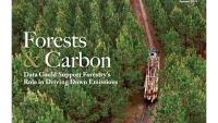 Cover of Summer 2024 Georgia Forestry Magazine