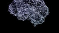 Brain network