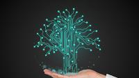 Graphic of a tree of data growing from a hand