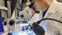 Researchers in Hong Yeo's lab work on the electronics of wearable biosensors
