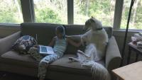 Frankie and Boris on the couch playing