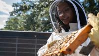 Georgia Tech's Janelle Dunlap conducts a hive inspection at the The Kendeda Building for Innovative Sustainable Design. 