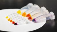 Five large vials and five small vials with colored liquid ranging from yellow to orange, red, and deep purple. (Photo: Candler Hobbs)