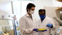 Two people in white lab coats and blue gloves hold a tray of samples. 