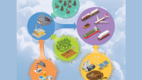 <p>Adapted illustration from the cover of the National Academy of Sciences report titled "Current Methods for Life Cycle Analyses of Low-Carbon Transportation Fuels in the United States." Credit: NASEM</p>