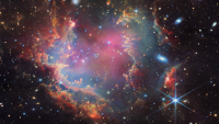 Astronomers using NASA's James Webb Space Telescope found candidates for the first brown dwarfs outside of our galaxy in a young star cluster in the Small Magellanic Cloud (NGC 602). (ESA/Webb, NASA & CSA, P. Zeidler, E. Sabbi, A. Nota, M. Zamani)