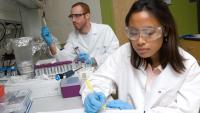 Two Georgia Tech researchers working in a lab.