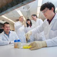 <p>The nearly $11M, five-year extension of the SCALE program aims to restore global lead through education initiatives.</p>