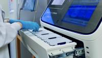 DNA samples are loaded into the Sanger processing machine.