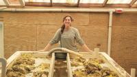 Sarah Roney oversees nursery troughs in the UGA Shellfish Research Lab filled with young oysters growing on shells recycled from restaurants all over Georgia.