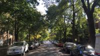 One point perspective shot of a suburban street with a healthy tree canopy cover. Eric Fischer, CC BY 2.0 <https://creativecommons.org/licenses/by/2.0>, via Wikimedia Commons