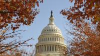 Photo of the U.S. Capital Building in the fall. 