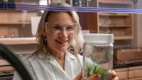 Ulrika Egertsdotter, a principal research scientist in the Renewable Bioproducts Institute, studies plant growth and development in vitro, with forestry, agricultural, and horticultural applications.