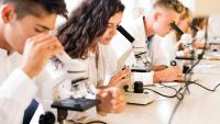 Students working at microscopes