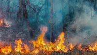 Fires have been burning in Africa for centuries. The fires are fueled by feedback loop as aerosols interact with the climate. It’s a process that plays a critical role in the regulation of African ecosystems.
