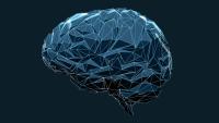 Brain illustration (iStock)