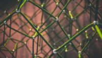 Photo by Clint Adair, Unsplash