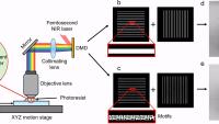 Diagram illustrating a nanoscale 3D printing process using a femtosecond near-infrared laser, mirrors, lenses, and a digital micromirror device to project patterned light into a photoresist on a glass slide.