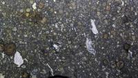 Many carbon-rich meteorites contain ingredients commonly found in life, but no evidence of life itself. James St. John, CC BY