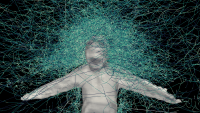 Trajectories of mosquitoes flying around a human target. David L. Hu, Georgia Tech