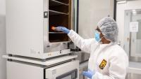 A researcher in the Marcus Center of Excellence for Cell Biomanufacturing removes cultured cells from an incubator for further characterization and testing.