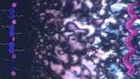 Tiny helices emerge during a phase separation process, offering clues about how life's building blocks may have first developed a preference for one 'handed' form over another. (Credit: Jong-Hoon Lee, Ziming Wang, Ying Diao)