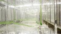 Laboratory experiments were conducted in the Georgia Tech Environmental Chamber (GTEC) facility to study oxidation chemistry and secondary organic aerosol formation in multi-precursor systems.