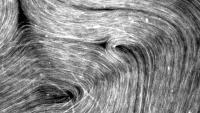 Microtubules