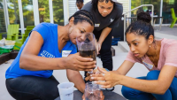 STEM Gems