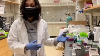 <p>Mo Jarin, a doctoral student in Georgia Tech’s School of Civil and Environmental Engineering, is the 2022 winner of the Career, Research, and Innovation Development Conference’s Innovation Competition for her VoltaPure water disinfection technology.</p>