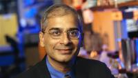 Ravi Kane